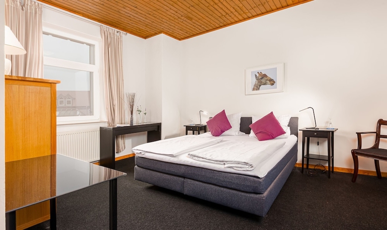 Imagen de la habitación del Hotel Rutherbach. Foto 13