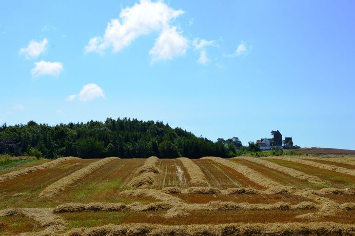 Imagen de la habitación del Hotel Rutsker Feriecenter. Foto 3