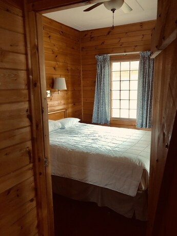 Imagen de la habitación del Hotel Ruttger's Birchmont Lodge. Foto 18