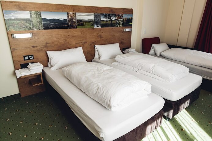 Imagen de la habitación del Hotel R&uuml;hrberger Hof & Restaurant Grenzach-Wyhlen bei Basel. Foto 19