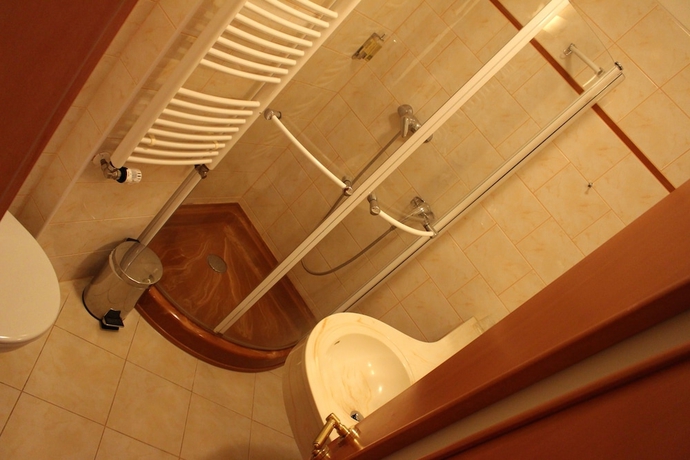 Imagen de la habitación del Hotel Ruze, KARLOVY VARY. Foto 8