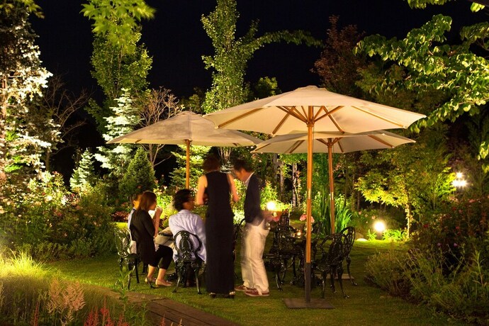 Imagen del bar/restaurante del Hotel Ruze Villa. Foto 15