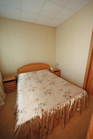Imagen de la habitación del Hotel Ryan Johnson. Foto 3