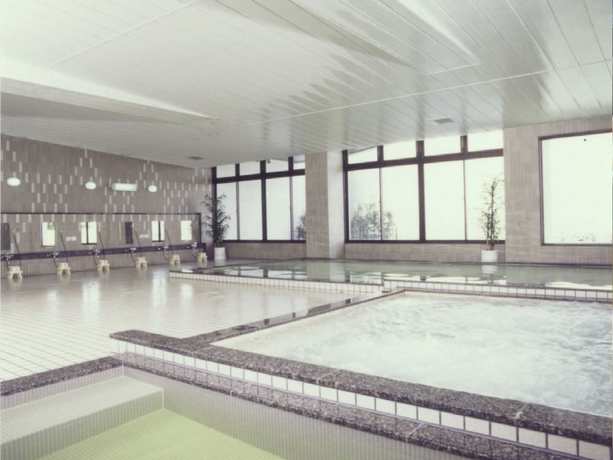 Imagen de los interiores del Hotel Ryokan Kaiyutei. Foto 13