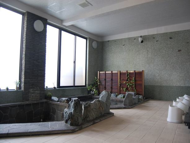 Imagen de la habitación del Hotel Ryokan Shinyone. Foto 11