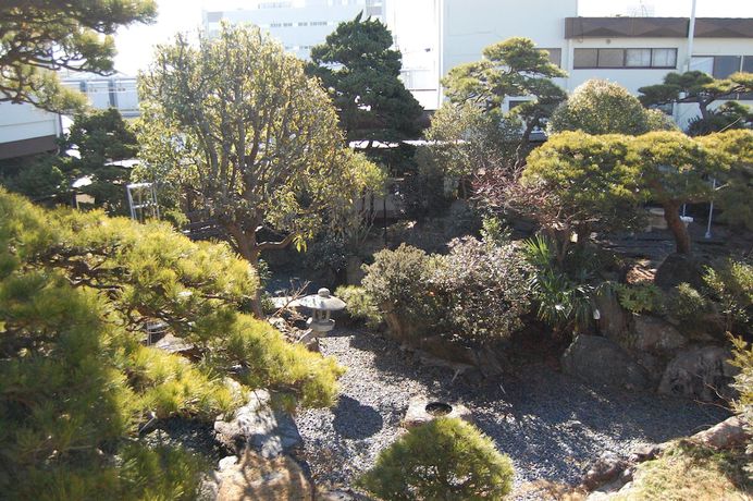 Imagen de la habitación del Hotel Ryokan Shinyone. Foto 17