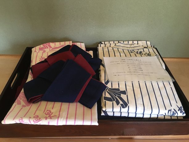 Imagen de la habitación del Hotel Ryokan Tanaka. Foto 8