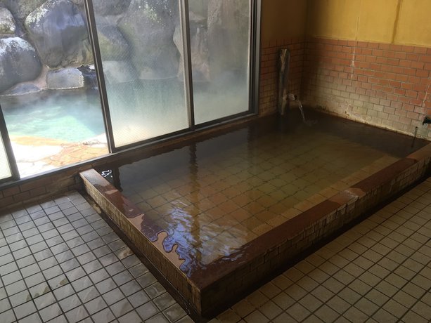Imagen general del Hotel Ryokan Tanaka. Foto 3