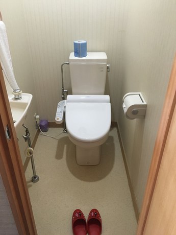 Imagen de la habitación del Hotel Ryokan Tanaka. Foto 10