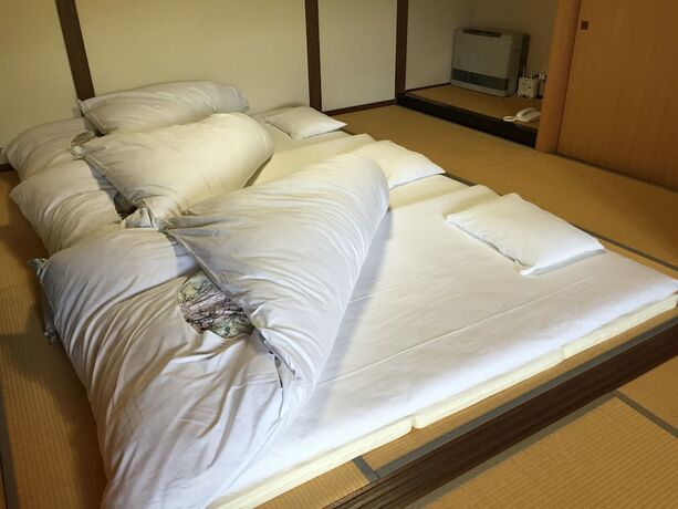 Imagen general del Hotel Ryokan Yufuin Tsubaki. Foto 4