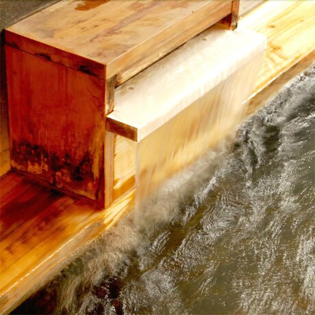 Imagen general del Hotel Ryokan and Sauna Yorzuya Hita. Foto 2