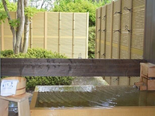 Imagen general del Hotel Ryokan ichie. Foto 8
