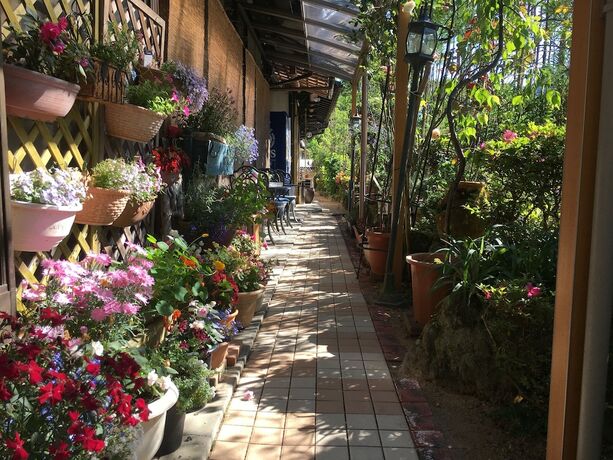Imagen de los exteriores del Hotel Ryoso Chatani. Foto 17
