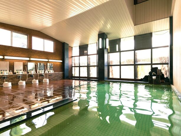 Imagen de la piscina del Hotel Ryounkaku, Tokamachi. Foto 20