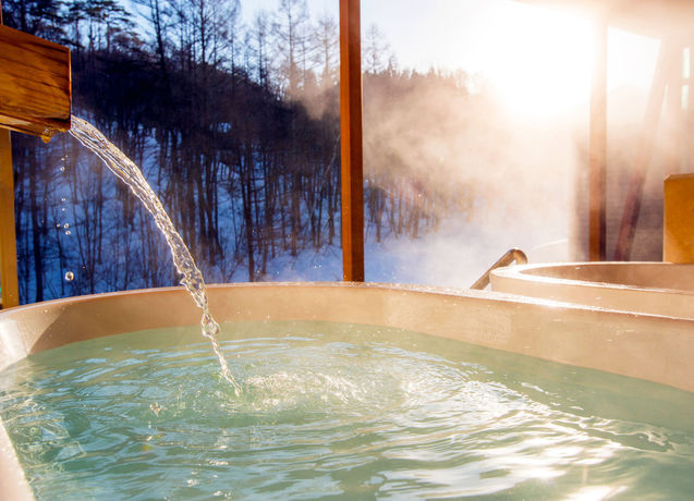 Imagen de los interiores del Hotel Ryu Resort and Spa. Foto 13