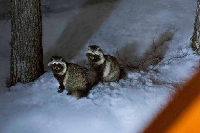 Imagen de los exteriores del Hotel Ryu Resort and Spa. Foto 12