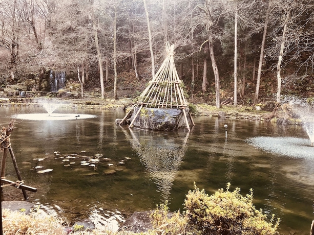 Imagen de la habitación del Hotel Ryugon. Foto 12