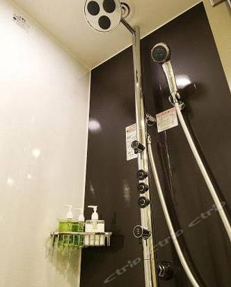 Imagen de la habitación del Hotel Ryumeikan Tokyo. Foto 7