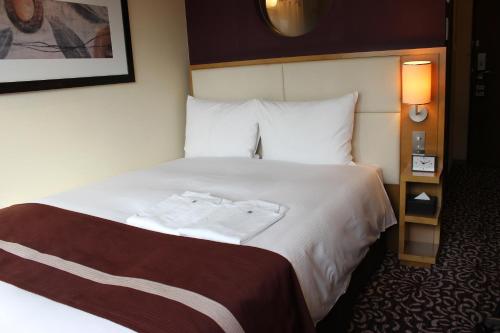 Imagen de la habitación del Hotel Ryumeikan Tokyo. Foto 8