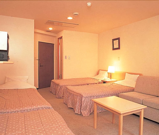 Imagen de la habitación del Hotel Ryuo. Foto 11
