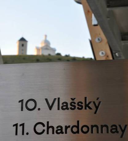 Imagen de la habitación del Hotel Ryzlink. Foto 7