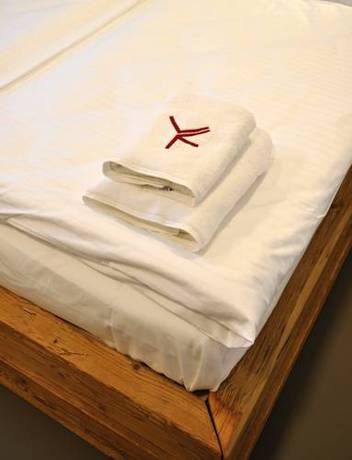 Imagen de la habitación del Hotel Ryzlink, Mikulov. Foto 10