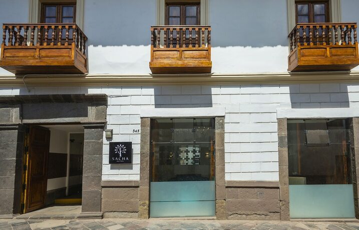 Imagen general del Hotel SACHA CENTRIC. Foto 2