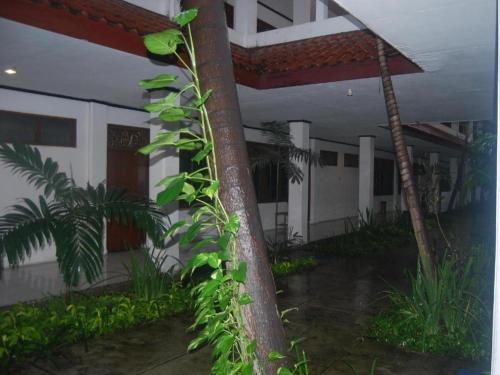 Imagen general del Hotel SADINAH SAHID JOSODIPURO HOTEL. Foto 4