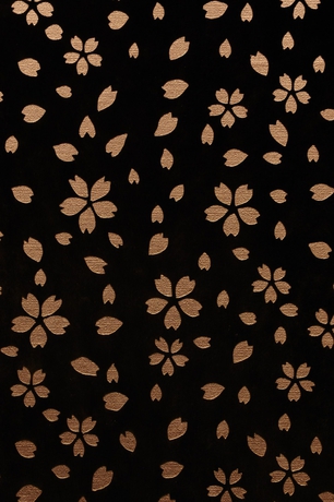 Imagen de los interiores del Hotel SAKE Kura Kawasaki-shuku. Foto 15