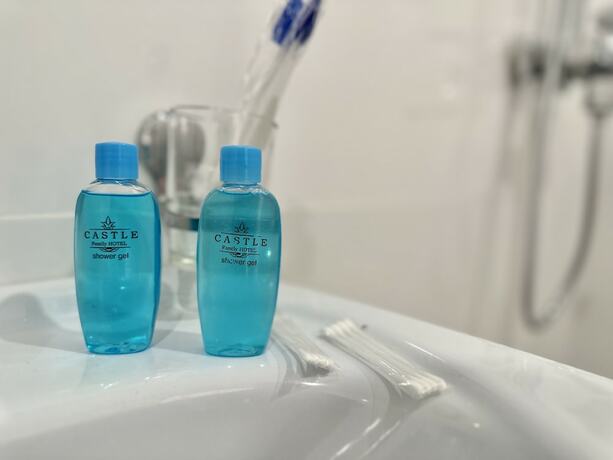 Imagen general del Hotel SANTA VILLA HOTEL. Foto 8