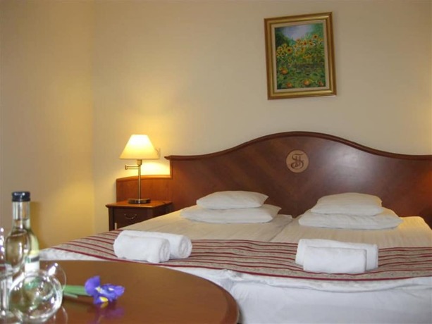 Imagen general del Hotel SANTE H&eacute;v&iacute;z. Foto 3