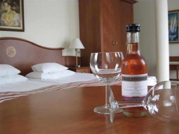 Imagen general del Hotel SANTE H&eacute;v&iacute;z. Foto 4