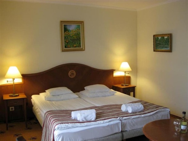 Imagen general del Hotel SANTE H&eacute;v&iacute;z. Foto 5