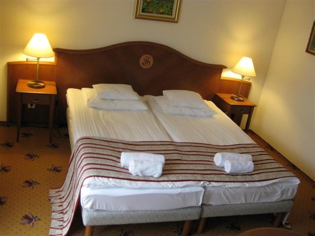 Imagen de la habitación del Hotel SANTE H&eacute;v&iacute;z. Foto 17