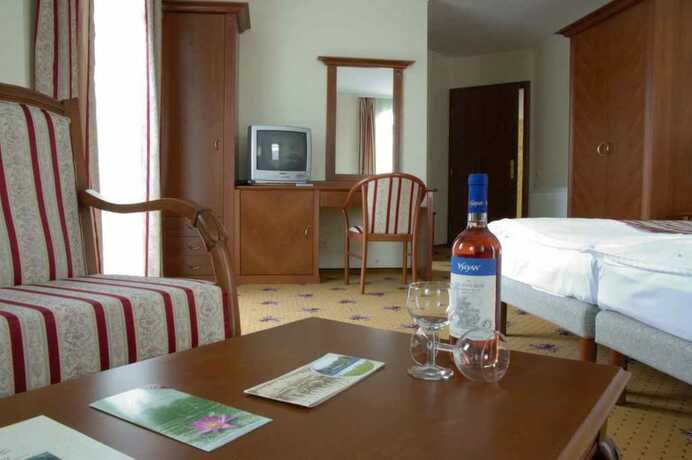 Imagen general del Hotel SANTE H&eacute;v&iacute;z. Foto 10
