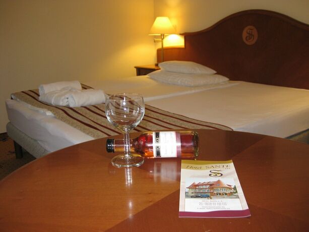 Imagen general del Hotel SANTE H&eacute;v&iacute;z. Foto 11