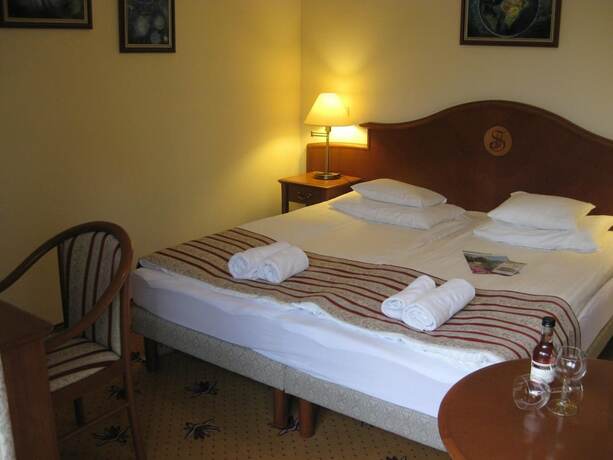 Imagen general del Hotel SANTE H&eacute;v&iacute;z. Foto 12