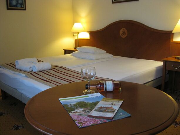 Imagen de la habitación del Hotel SANTE H&eacute;v&iacute;z. Foto 19