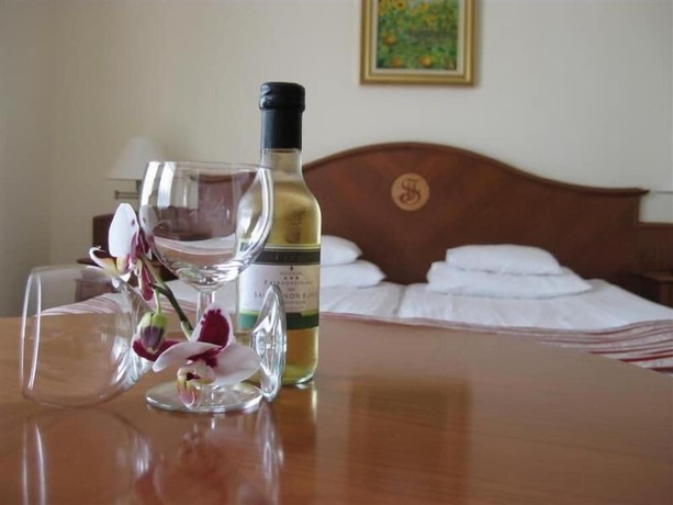 Imagen general del Hotel SANTE H&eacute;v&iacute;z. Foto 15