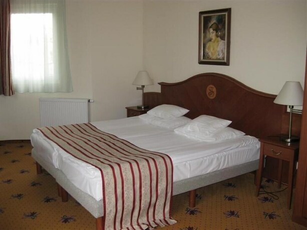 Imagen general del Hotel SANTE H&eacute;v&iacute;z. Foto 16