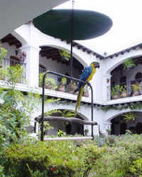 Imagen general del Hotel SANTO TOMAS, Chichicastenango. Foto 6