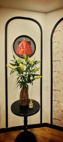 Imagen general del Hotel SARGON D'LUXE. Foto 3