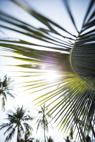 Imagen de los exteriores del Hotel SAii Laguna Phuket. Foto 11