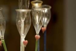 Imagen general del Hotel SCHÖNHERR HAUS. Foto 6