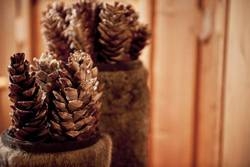 Imagen general del Hotel SCHÖNHERR HAUS. Foto 14