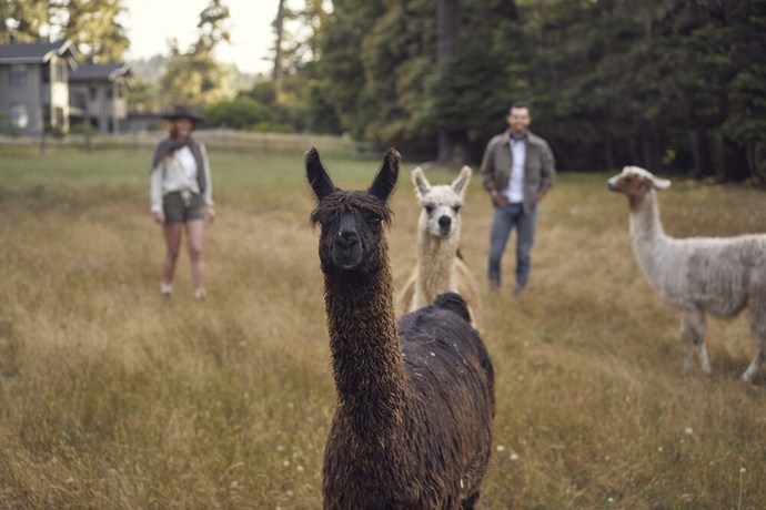Imagen de los exteriores del Hotel SCP Mendocino Inn and Farm. Foto 10