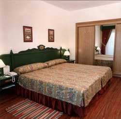 Imagen de la habitación del Hotel SENORIO DE MONJARDIN. Foto 7