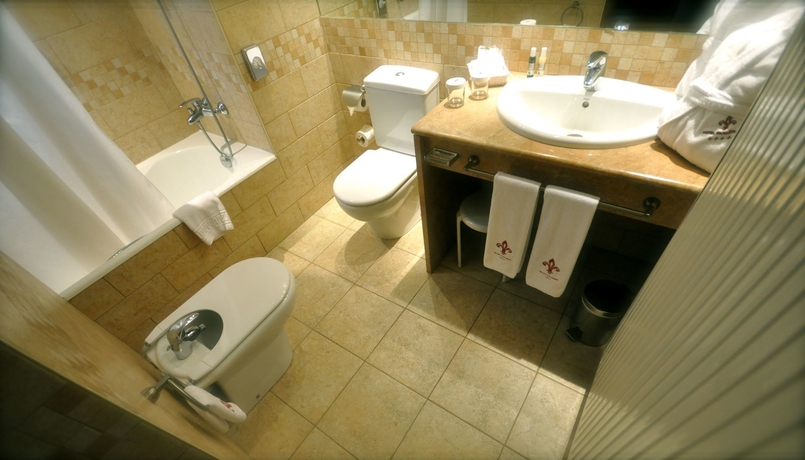 Imagen de la habitación del Hotel SERHS Spa Termes Carlemany. Foto 8