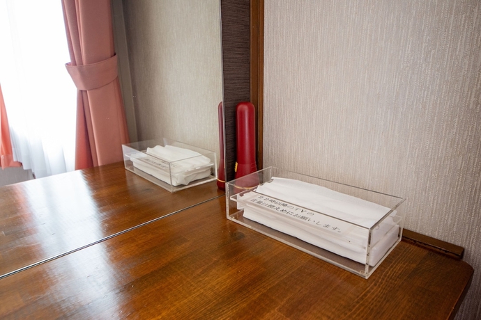Imagen de la habitación del Hotel SINDAI. Foto 7