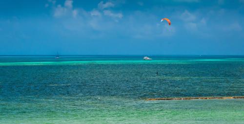 Imagen general del Hotel SLS Cancun. Foto 11